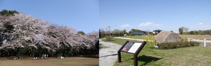 写真：綾瀬市の風景