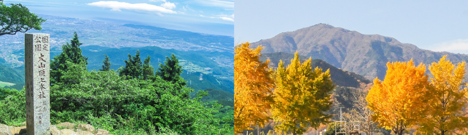 写真：伊勢原市の風景